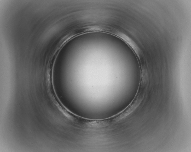 X0000112940906200908241318