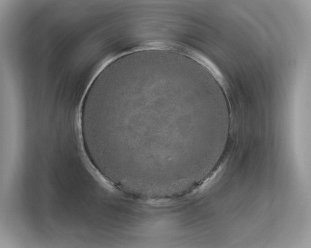 X0000112940907200908241318