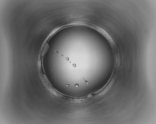 X0000112940908200908241318