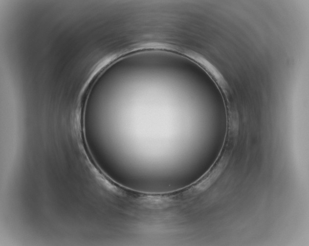 X0000112940910200908241318