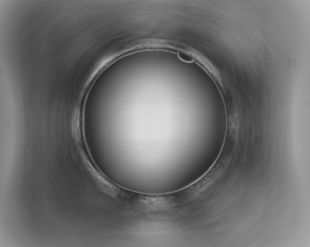 X0000112940911200908241318