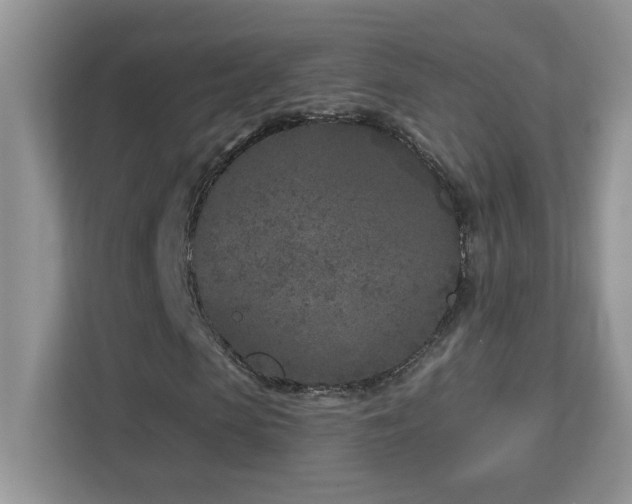 X0000112940913200908241317