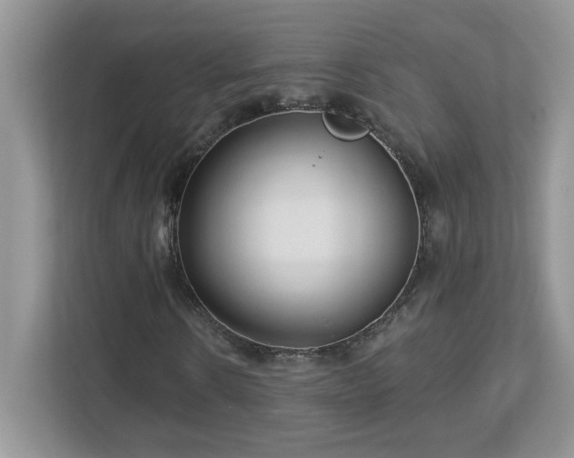 X0000112940914200908241317