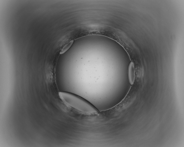 X0000112940916200908241317