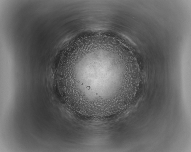 X0000112940917200908241317