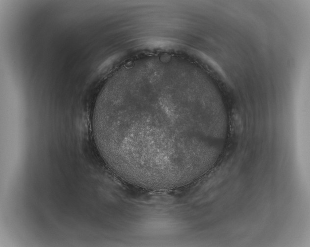 X0000112940918200908241317