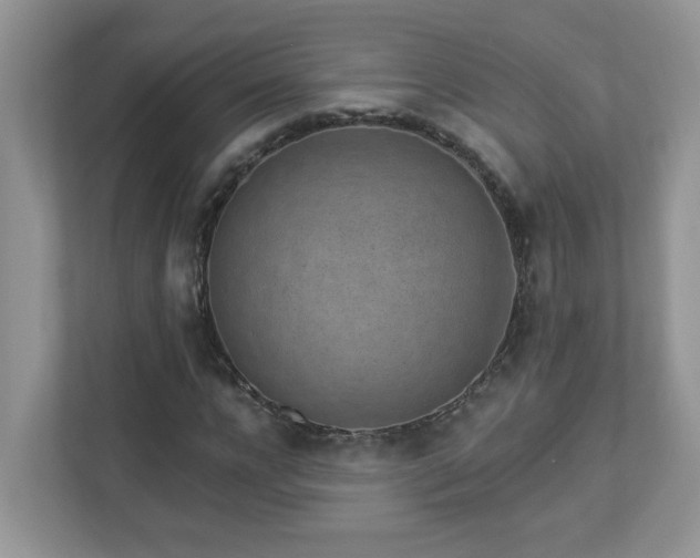 X0000112940920200908241317