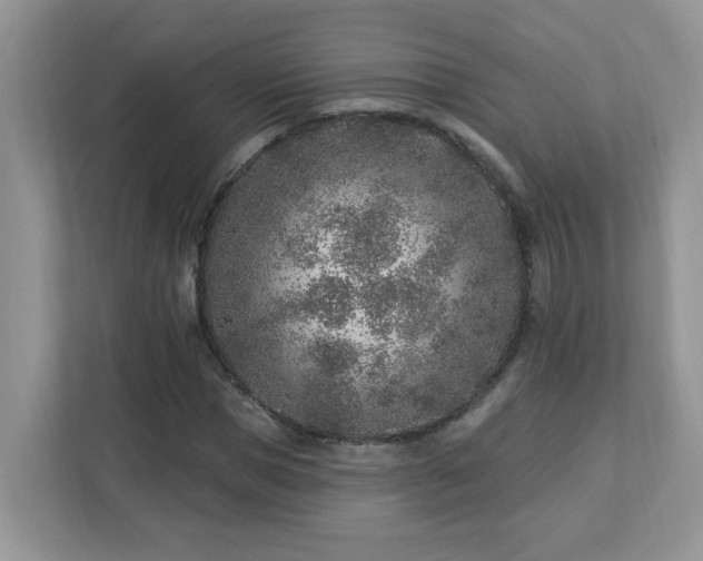 X0000112940921200908241317