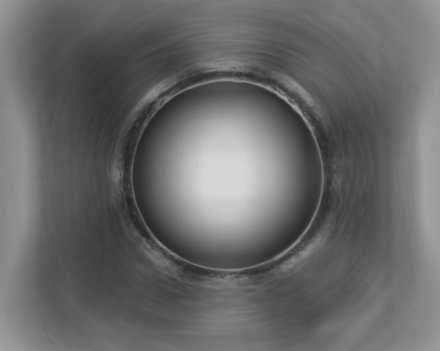 X0000112940922200908241317