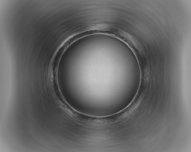 X0000112940923200908241317