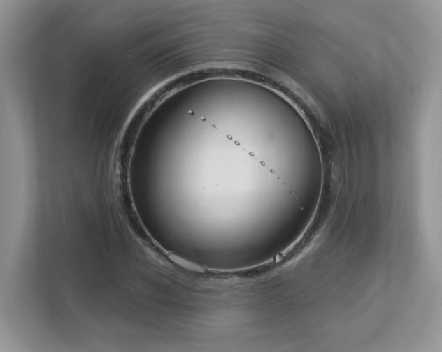 X0000112940926200908241317