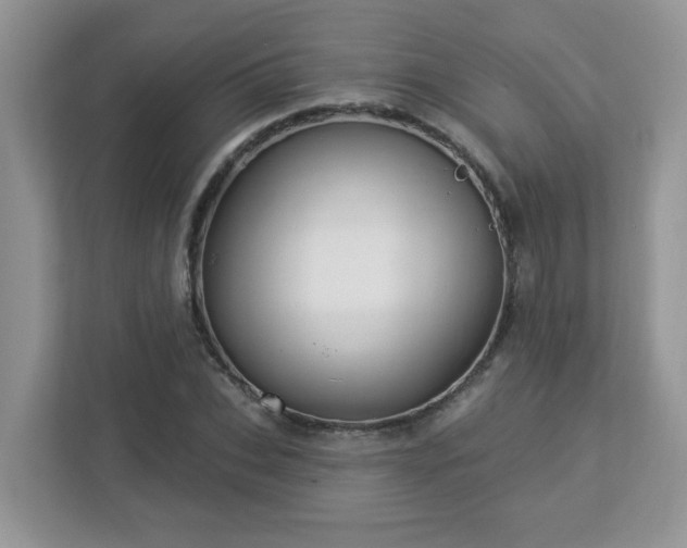 X0000112940927200908241317
