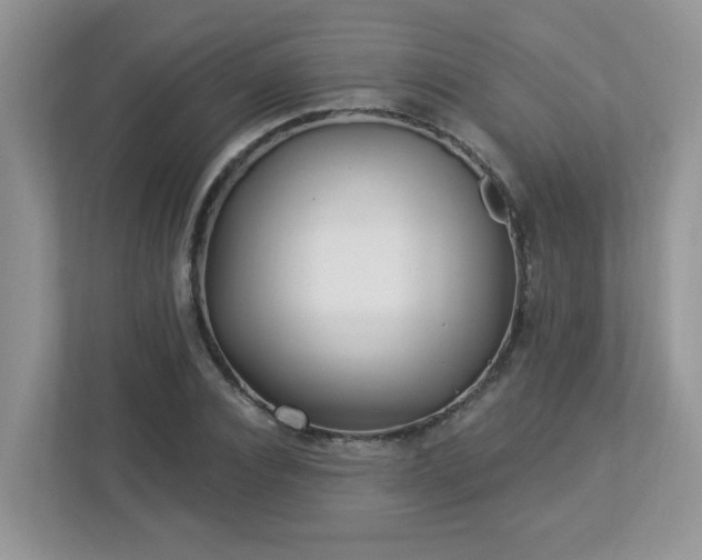 X0000112940928200908241317