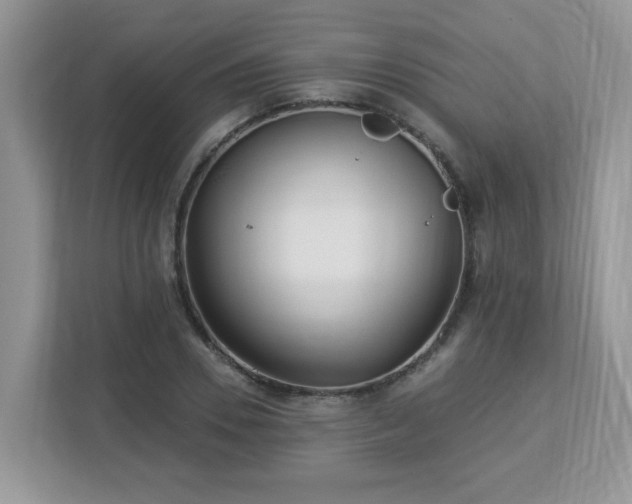 X0000112940930200908241317