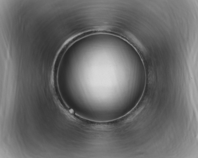 X0000112940932200908241317
