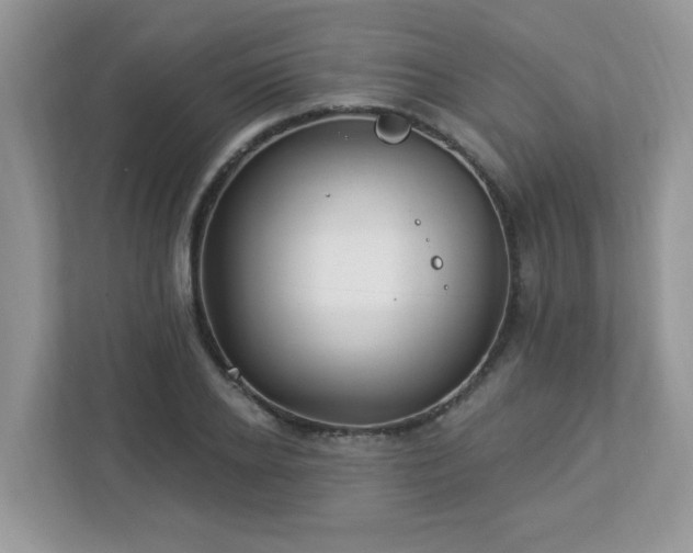 X0000112940934200908241317
