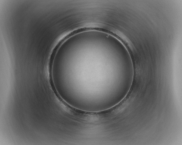 X0000112940935200908241317