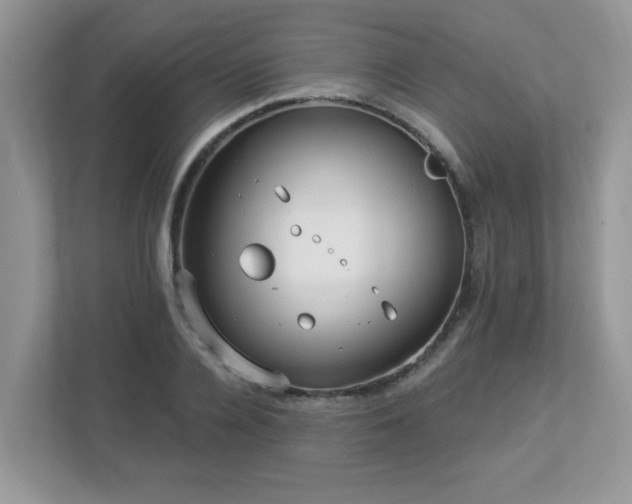 X0000112940936200908241317