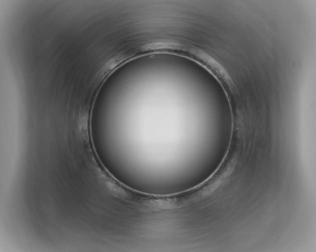 X0000112940937200908241317
