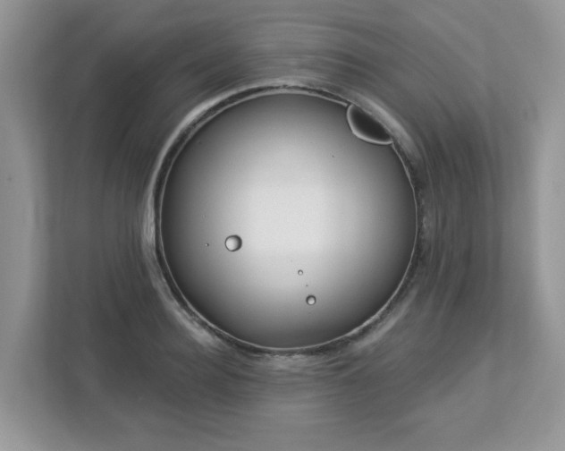 X0000112940940200908241317