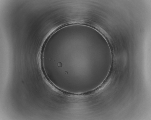 X0000112940941200908241317