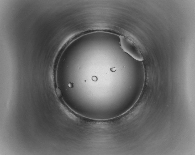X0000112940942200908241317