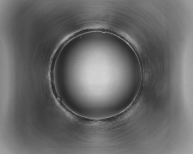 X0000112940943200908241317