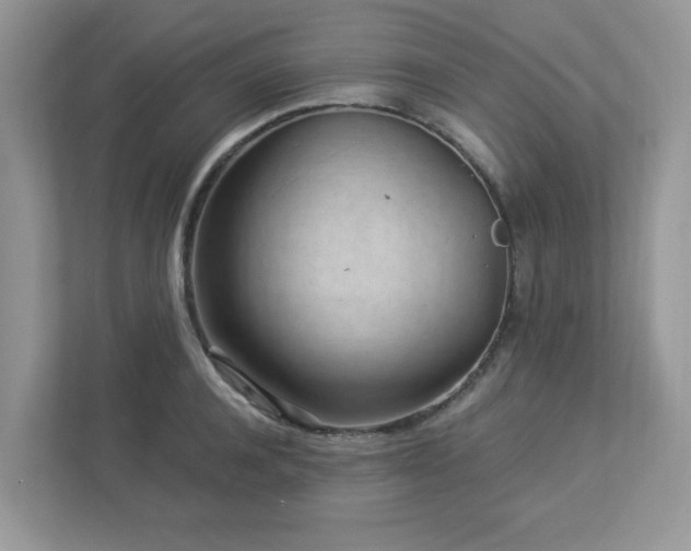 X0000112940944200908241317