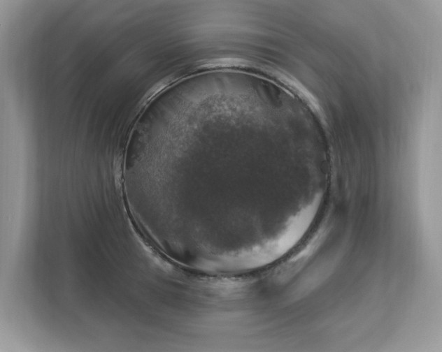 X0000112940945200908241317