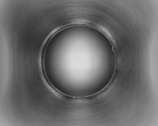 X0000112940947200908241317
