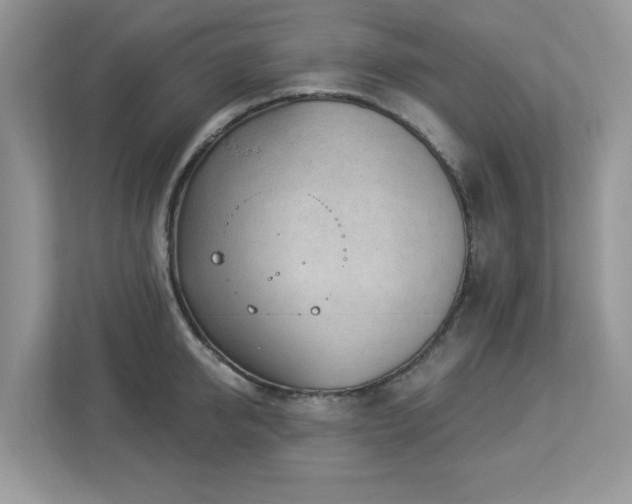 X0000112940950200908241318