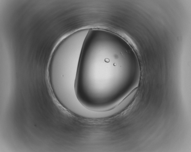 X0000112940952200908241318