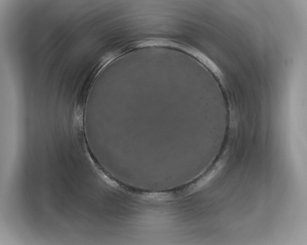 X0000112940953200908241318