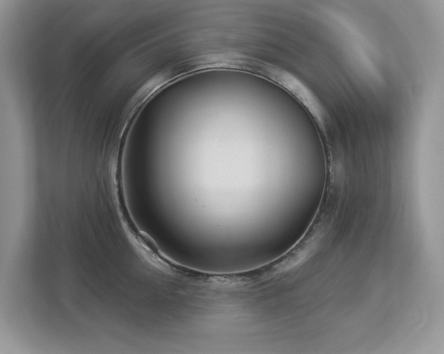 X0000112940954200908241318