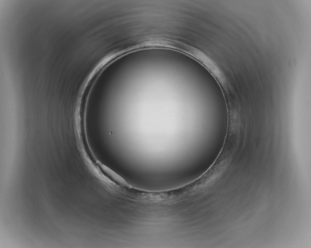 X0000112940955200908241318