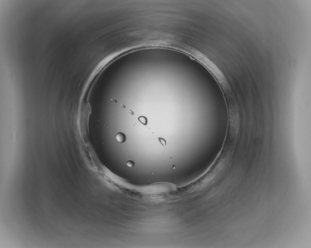 X0000112940956200908241318