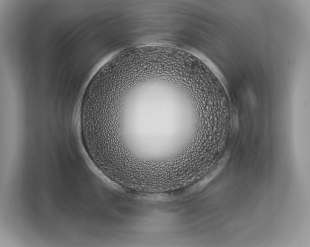 X0000112940957200908241318