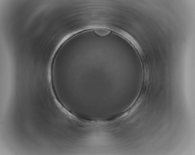 X0000112940958200908241318