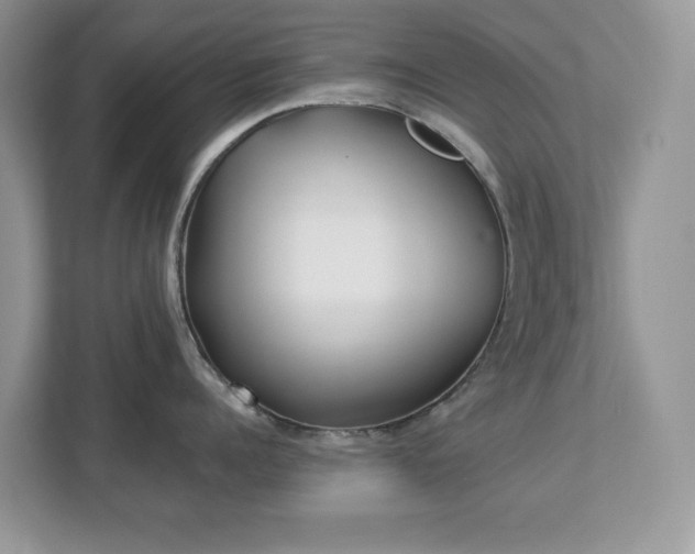 X0000112940960200908241318
