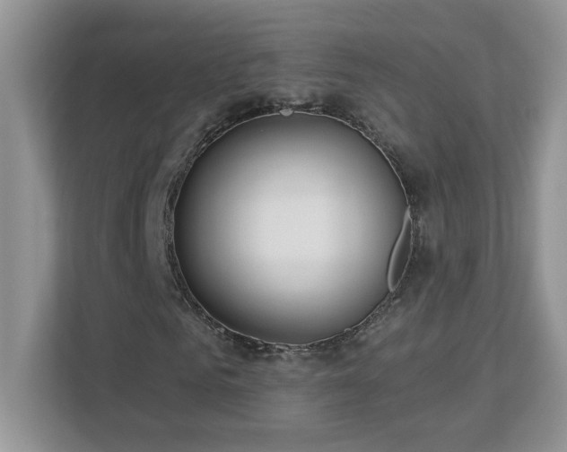 X0000112940961200908241317