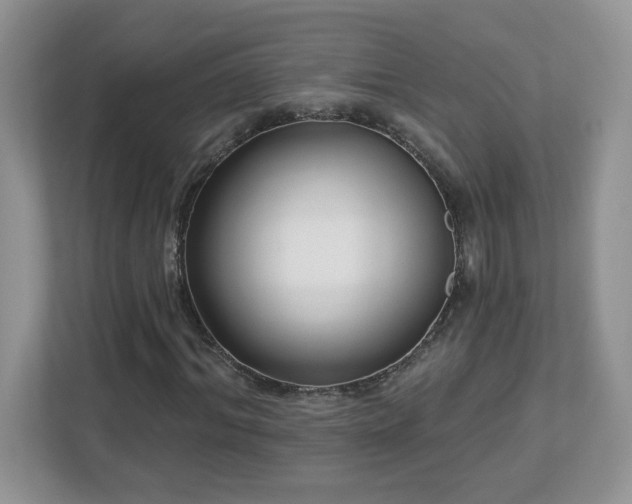 X0000112940964200908241317