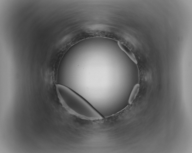 X0000112940965200908241317
