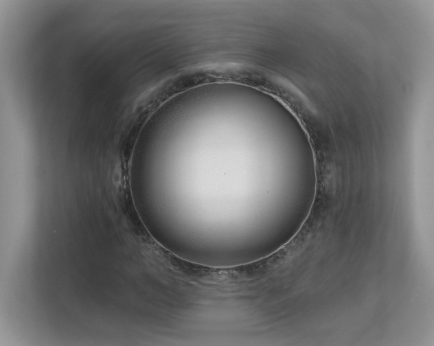 X0000112940966200908241317