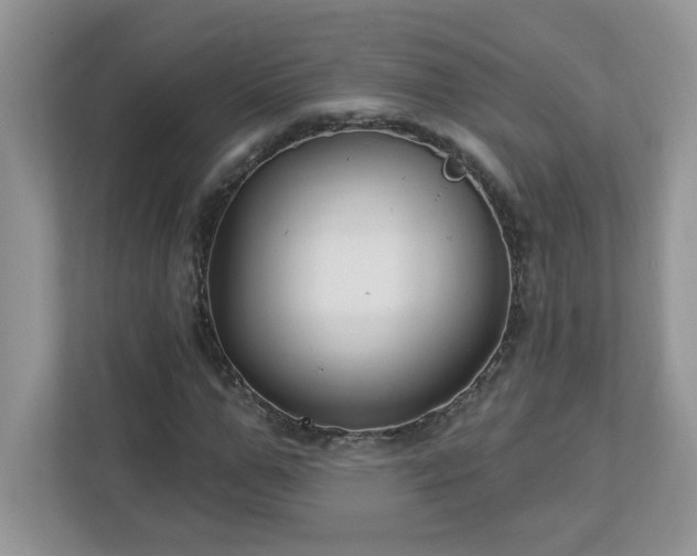 X0000112940967200908241317