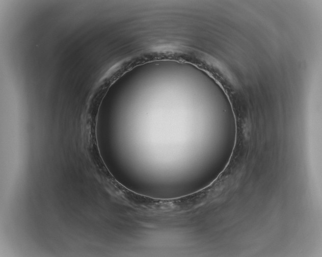 X0000112940968200908241317