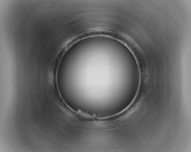 X0000112940969200908241317