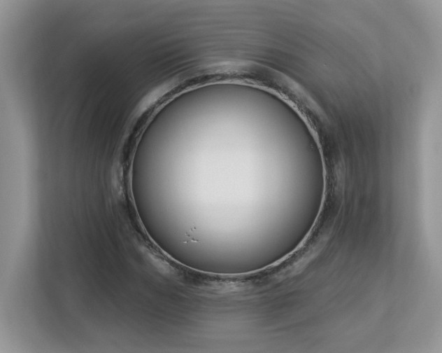 X0000112940970200908241317
