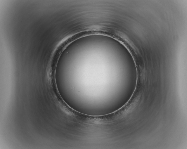 X0000112940971200908241317