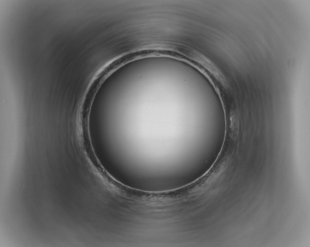 X0000112940972200908241317