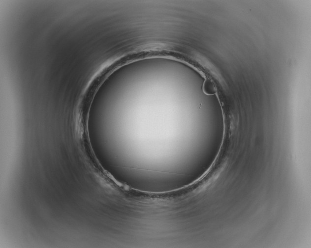 X0000112940973200908241317